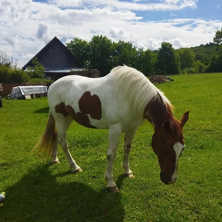 Landsted Na Statku